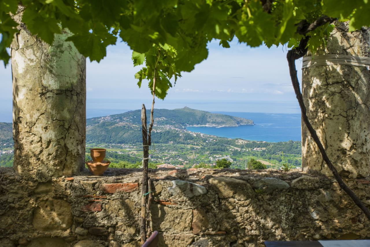 Il Castello Di San Sergio เชนโตลา ภายนอก รูปภาพ